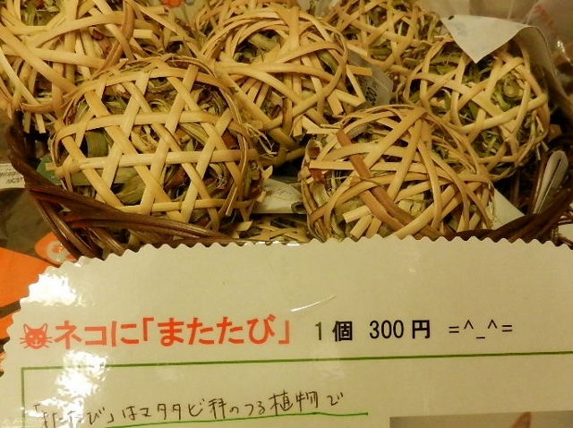 ネコにまたたび